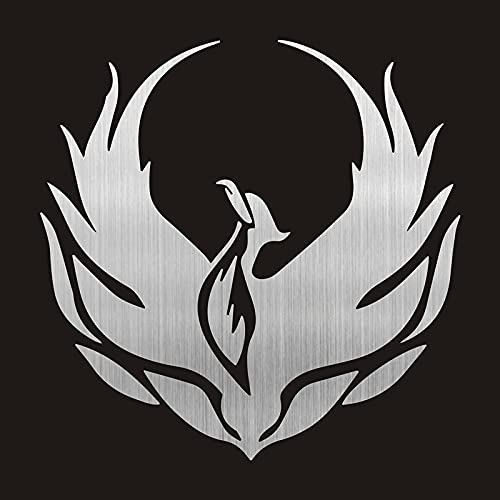 Pegatinas decorativas para coche, calcomanías para motocicleta, Ave Fénix de maravilla, accesorios decorativos, protector solar creativo, impermeable, M54(3)