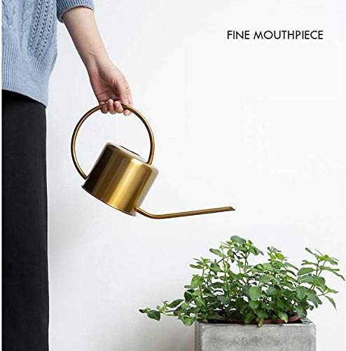 Konewka do podlewania, ze stali nierdzewnej, metalowa, 1300 ml, z długą szyjką, dla rodziny, biura, do roślin doniczkowych, bonsai, 1,3 l