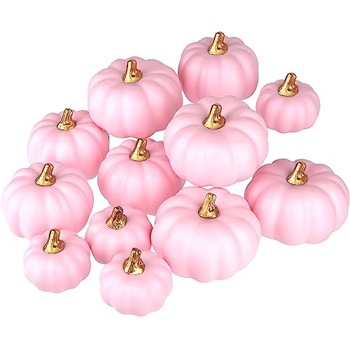 Image of Artmag Artificial Pumpkins Bulk 12Pcs Assorted Sizes Harvest Lifelike Pumpkin Fake Foam Pumpkin for Fall Autumn Halloween Home Party Thanksgiving Party Holiday Decor Pink