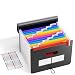 Expanding File Folder Accordian File Organizer with Cover/Portable A4 Letter Size Filing Box, Accordion Bill Paper Document Receipt Organizer High Capacity Plastic Bag with Colored Tab (12 Pockets)