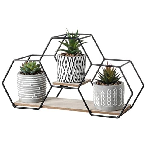 Teresa's Collections Decorative Artificial Succulent Set Cover