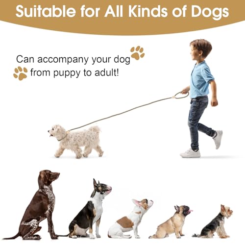 Retrieverleine mit Zugstopp, 150 cm Hundeleine mit Halsband, Einstellbar Hundeleine Geflochten, Weiche Trainingsleine für Kleine Mittlere und Große Hunde