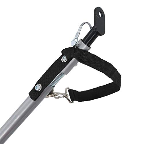 Rimorchio da bicicletta per cani, con parapioggia