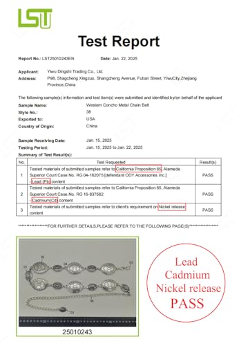 image for TOPACC Western Metal Oval Concho Chain Belt for Women Silver Cowgirl B