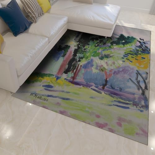 Tapis 60x90 lavable et antidérapant au style Henri Matisse