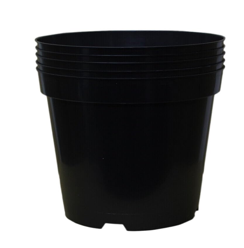 Outdoor Garden Accessories Small Plastic Plant Flower Pots (Colour: Black) (10 Litre, Pack of 5)