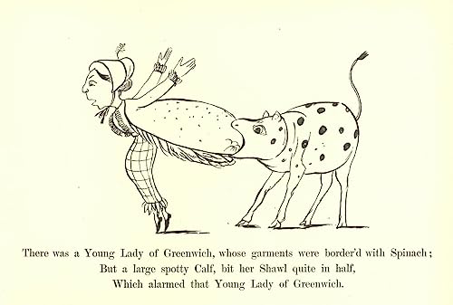 Toile There Was a Young Lady Edward Lear poster 58 x 90 cm déco murale chambre
