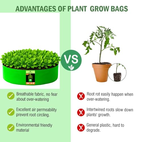 Image of Kingwell grow bags 24x6 inch pack of 6 Grow Bag For Terrace Garden Leafy Vegetable Plant Grow Bags Fruits Growing Containers For terrace Gardening