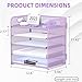 Supeasy 5 Trays Paper Organizer Letter Tray with Handle-Mesh Desk File Organizer, Paper Sorter Desk Organizer for Office, Home or School