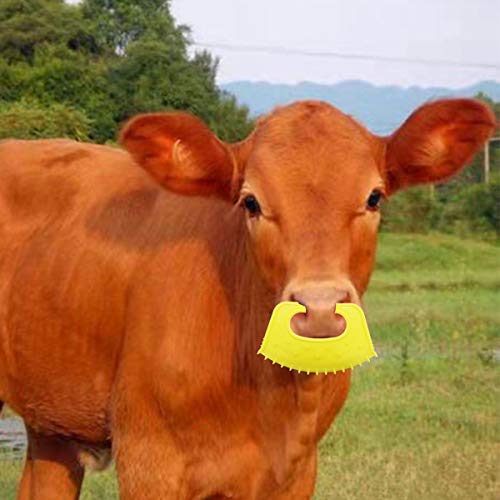 Calf Weaner Tool for Cattle, Cow, Bovine Farming