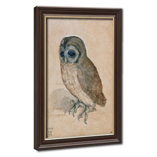 Toile de la petite chouette Albrecht Durer pour sublimer votre bureau chic