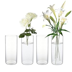 Glass Cylinder Vase,Tall 5.9inch Clear Decorations Flowers Vases,for Table Decorations, Wedding, Party, Hurricane Floating Candle Holder,Receptions, Home Decor (4)