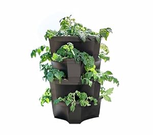 Romberg Kartoffel- und Pflanzturm 54L