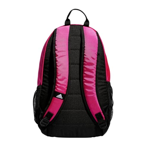 Image of Striker Team Sports Backpack for soccer and more, workout bag for men and women