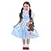 amscan 9906054 Disfraz oficial de Warner Bros Wizard of Oz Dorothy para niñas (4 - 6 años)