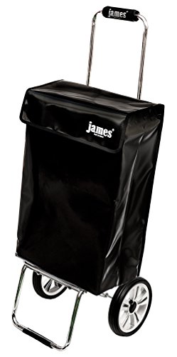 James® Einkaufstrolley modern Design Botticelli, Einkaufswagen bunt, Hackenporsche, Shopping-Lifestyle, Planenmaterial, bis 50kg Tragkraft, Grosse Räder, Made in Vienna – Bild 3