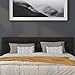 Flash Furniture Lennox Button Tufted Upholstered King Size Headboard in Black Vinyl with Adjustable Bed Rail Slots
