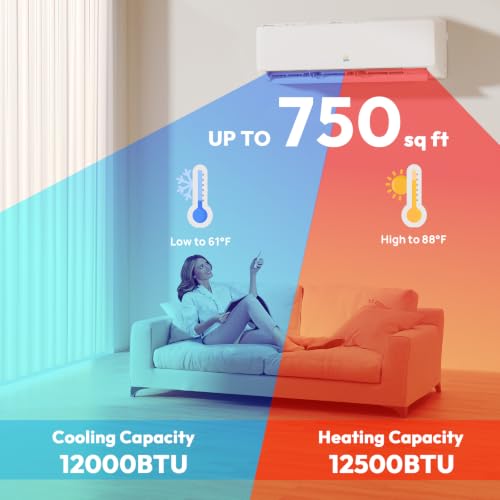 Rellytech Mini Split AC/Heating System, 12000 BTU, 19 SEER2 115V/110V