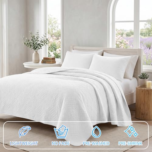 Colcha para cama suave y ligera de microfibra transpirable 260x260 3