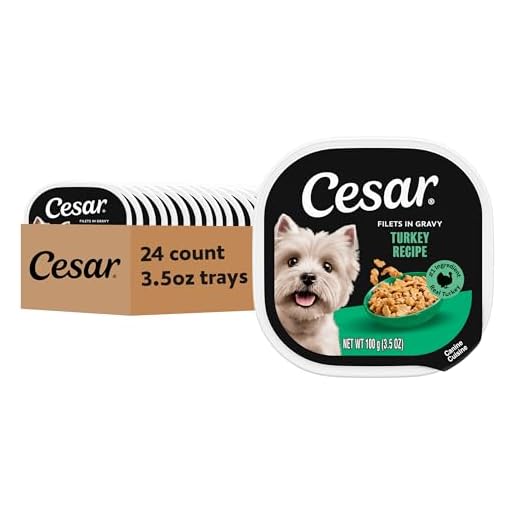 Cesar Filets in Gravy, Adult Wet Dog Food, Turkey Recipe, Wet Food for Dogs, 3.5 oz Trays, 24 Count