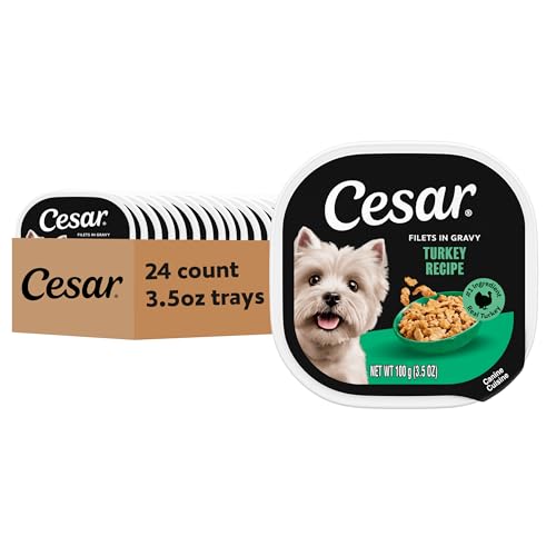Image of Cesar Filets in Gravy Wet Dog Food, Turkey Recipe, 3.5 oz, 24 Count | Real poultry #1 ingredient, no fillers or artificial flavors, easy peel trays, complete & balanced for adult dogs