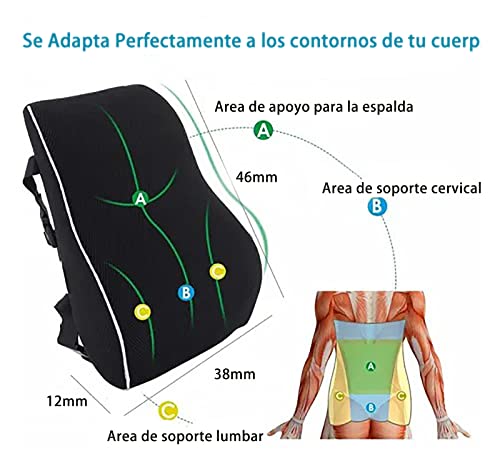 El mejor review de Silla ortopédica los diez mejores. 24 Imagen adicional