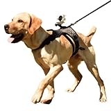 Captura el mundo de tu perro montando tus cámaras deportivas en el soporte de cinturón de la correa del pecho.
