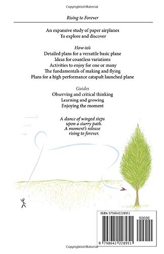 Rising to Forever: The Joy, Adventure, and Wisdom of Paper Planes - Image 2