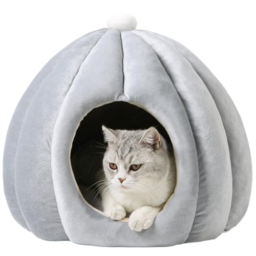 Bidason L xbh ybg nEX h[^ ӂӂ  J{` _炩 NbVt \tg ~ 􂦂 Q g h Lbg ^  ybgpi ~