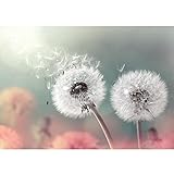 Runa Art