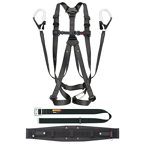 タジマ(Tajima) フルハーネス セット品 セグネス 301 Lサイズ 墜落制止用器具