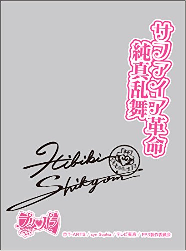 プリパラ キャラクター トレーディングカードの人気商品 通販 価格比較 価格 Com
