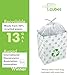 Clean Cubes 13 Gallon Disposable Pop-Up Trash Cans (3-Pack) with Fitted Bags – Foldable Garbage & Recycling Bins for Parties, Events & Kitchen (Recycle, 17