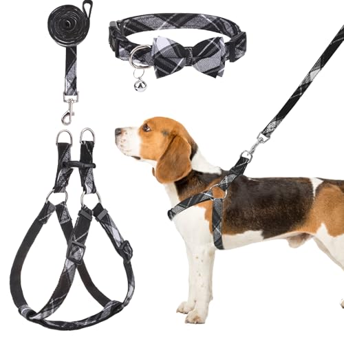 BINGPET  n[lX  [h Zbg pn[lX  EȒP bV ʋC ϋv ߉\ \ y h~ U P xXg p `FbN   ^ ^ Č p iubNASj