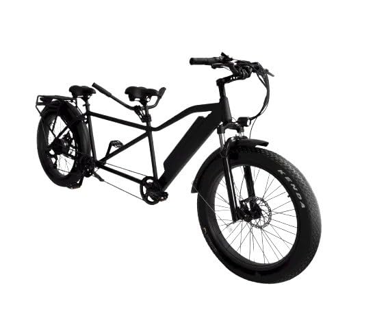 Cozytrikes Two Person Fat Tire Bike