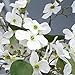 LIUCOGXI 7 Pcs Artificial Dogwood Flowers Floral Arrangements Artificial Silk Bridal Flowers Bouquets Fake Cornus Bush for Home Wedding Bouquet Kitchen Table Decoration Without Vase