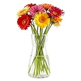 Zuzer Florero de Vidrio Transparente, Hogar u Oficina 10.5x8.5x20 cm