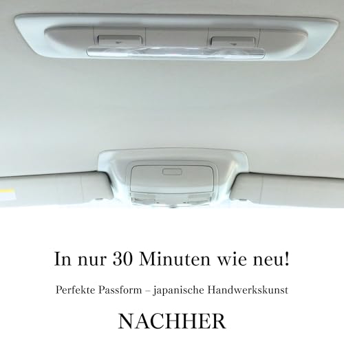 Panel de techo negro para VW Golf Mk5 sin techo solar 7