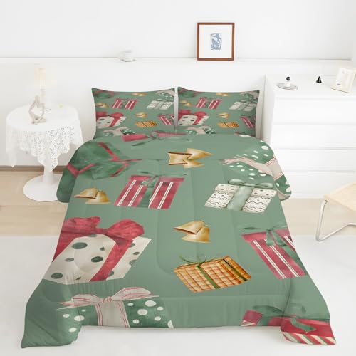 Generico Piumino Matrimoniale Regalo Trapunte Campanella Piumone Imbottito Resistente Lavabile, Super Morbida Trapunta, piumini 220x240 cm in Microfibra Reversibile e 2 Federa 50x80 cmY875