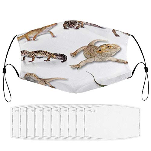 Roupaze Children Face Masks Reptiles Multi Colored Staring Leopard Gecko Family Image Primitive Reptiles Wildlife Art Print Home Multi Windproof Face Mouth Cover Balaclavas for Kids with 10 Filter