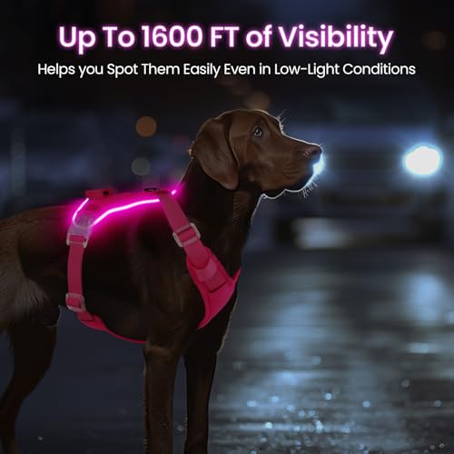 Light Up Dog Hundegeschirr Leuchtend LED Aufladbar - Leuchtgeschirr Leuchtend für Klein Mittelgroße Grosse Hund, Reflektierende Brustgeschirr Beleuchtetes Hundegeschirr, 4-Punkt Verstellbar,Rosa,S