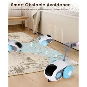 Cat Toys for Indoor Cats, Smart Interactive Cat Toy with 2-Speed Adjustment, Remote Control & USB Rechargeable Automatic Cat Exercise Toys for Bored Indoor Adult Cats Kittens (Blue) Cat Toys for Indoor Cats, Smart Interactive Cat Toy with 2-Speed Adjustment, Remote Control & USB Rechargeable Automatic Cat Exercise Toys for Bored Indoor Adult Cats Kittens (Blue)