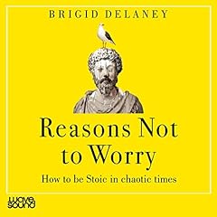 Reasons Not to Worry Audiolibro Por Brigid Delaney arte de portada
