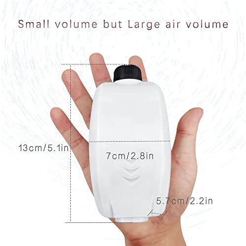 Hitop Dual Outlet Aquarium Air Pump, Whisper Adjustable Fish Tank Aerator, Quiet Oxygen Pump With Accessories For 20 To 100 Gallon (2 Outlets) #TOP2