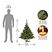 National Tree Company Artificial Mini Christmas Tree, Green, Kincaid Spruce, Includes Stand, 4 Feet