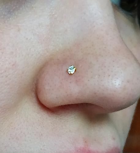MODRSA Gold Nose Studs - 20g 20 Gauge L Shaped Push in Nose Studs - Surgical Steel Hoops for Women - Hypoallergenic Nose Jewelry - Image 4