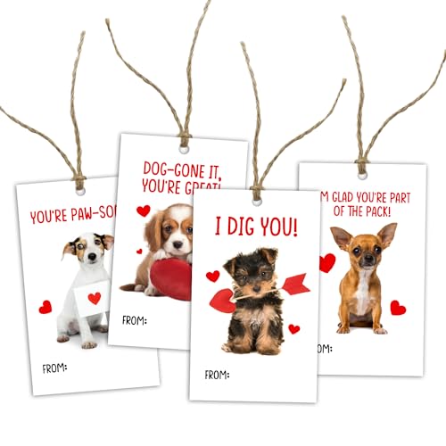 �o�����^�C���f�[�M�t�g���x�� �n�b�s�[�o�����^�C���f�[�M�t�g���b�s���O���x�� �j�̎q�Ə��̎q�̂��߂̃f�R���[�V�����Ɨp�i (40�p�b�N) -L603