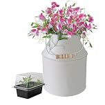 Pronto Seed Sweet Pea Growing Kit with Decorative Milk Churn Planter | Unique Gardening Gift for Women | Perfect Christmas or Birthday Flower Gift Set (Sweet Pea - Milk Churn Planter)