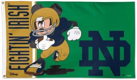 Wincraft NCAA Notre Dame Disney Flag - Deluxe, Multicolor, 3' X 5'