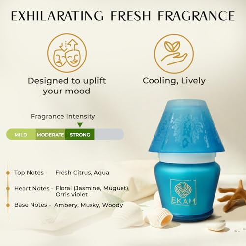 Image of EKAM Scented Frost Glass Lampshade Candle | Ocean Dream Scented Candle | Luxury Fragrances| Ideal for Home Decor, Aromatherapy & Gifting | 22 Hours Burn time |114 g